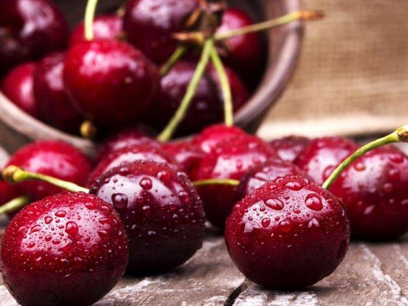 Вишня купить саженцы из питомника в Балашове